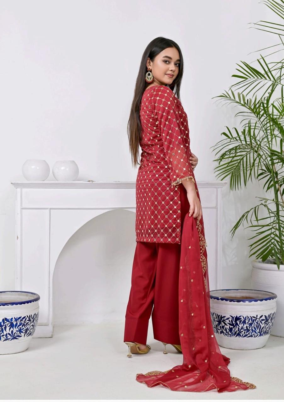 Luxury Premium Stara Pane Work Outfit – Designer Shirt, Trouser & Dupatta